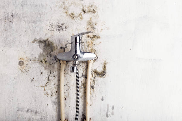 Best Water Damage Restoration  in Auxvasse, MO