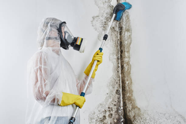 Best Crawl Space Mold Removal  in Auxvasse, MO