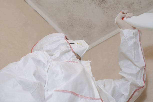 Best Mold Inspection  in Auxvasse, MO